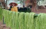 Từ ruộng đồng đến sàn diễn thời trang