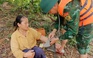 Được giải cứu sau 6 ngày mắc kẹt trong rừng do lũ