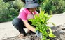 Những 'thiên thần nhỏ' gieo mầm yêu thương