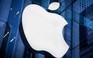 Apple có thể mất lợi thế về AI nếu không mua lại Perplexity