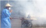 Diễn biến mới về dịch bệnh chikungunya ở Trung Quốc