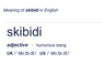 'Từ vô nghĩa' skibidi được thêm vào từ điển Cambridge