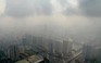 Ngày mai, Báo Thanh Niên tổ chức Tọa đàm 'Giảm phát thải, lọc không khí'