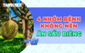 Vì sao người mắc 4 nhóm bệnh này cần cẩn trọng với sầu riêng?