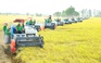 Tin tức đặc biệt trên báo in Thanh Niên 24.8.2025