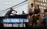 Bão số 5 (bão Kajiki): Sơ tán hàng ngàn hộ dân ở Nghệ An