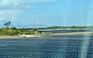 Tranh luận về đề xuất hỗ trợ lắp điện mặt trời