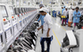 Foxconn 'ngáng chân' tham vọng của Apple tại Ấn Độ